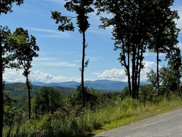 view of mountain feature