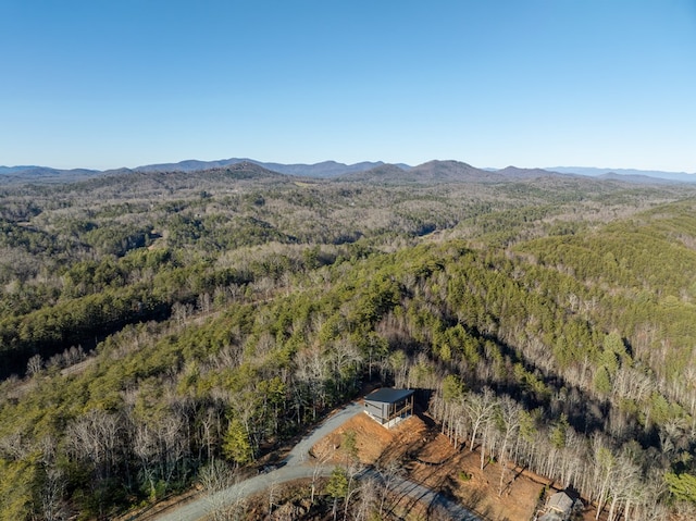 538 Mountain Laurel Rdg, Mineral Bluff, GA 30559 - view of mountain backdrop with a heavily wooded area