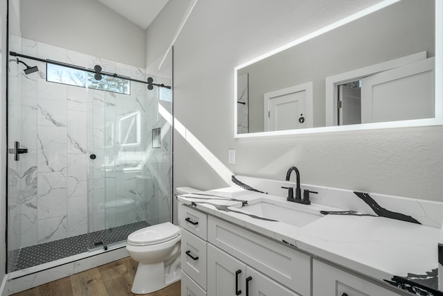 538 Mountain Laurel Rdg, Mineral Bluff, GA 30559 - full bath with toilet, a marble finish shower, wood finished floors, and vanity