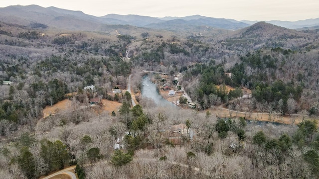 birds eye view of property with a mountain view