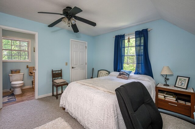 45 8 Point Trl, Blairsville, GA 30512 - bedroom featuring carpet floors, multiple windows, baseboards, and lofted ceiling
