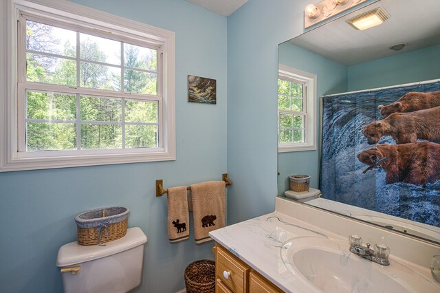 45 8 Point Trl, Blairsville, GA 30512 - full bath with vanity, toilet, and a shower with curtain