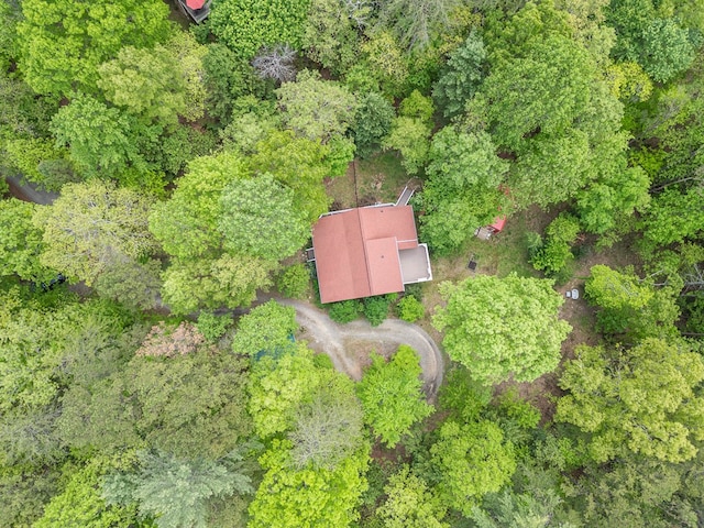 45 8 Point Trl, Blairsville, GA 30512 - birds eye view of property