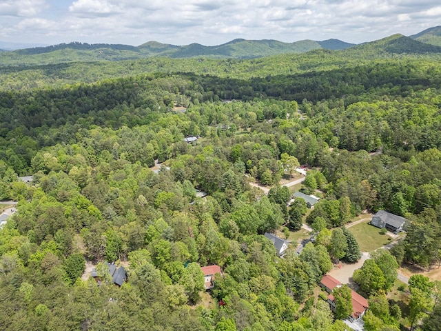 45 8 Point Trl, Blairsville, GA 30512 - aerial view with a wooded view and a mountain view