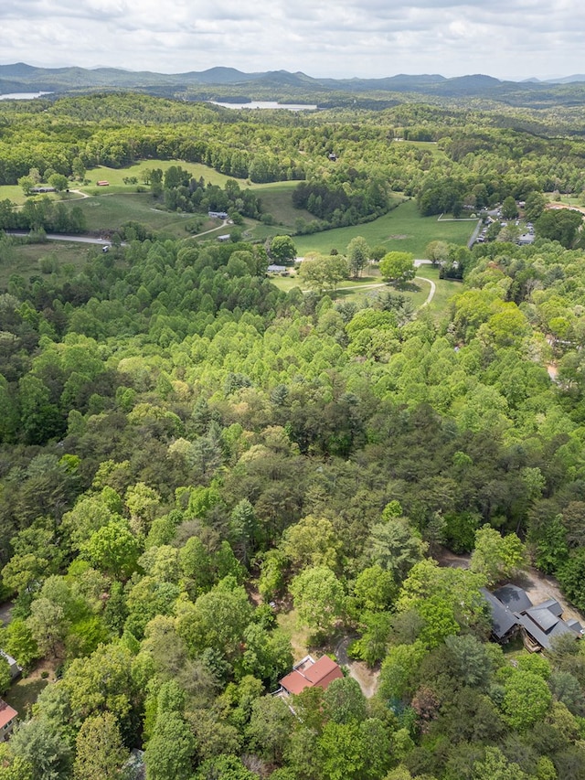 45 8 Point Trl, Blairsville, GA 30512 - aerial view featuring a wooded view and a mountain view