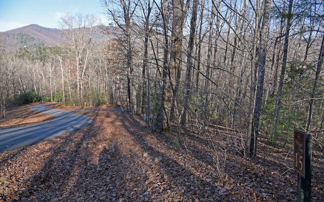 Listing photo 2 for LT15 Wolfpen Gap Ct, Blairsville GA 30512