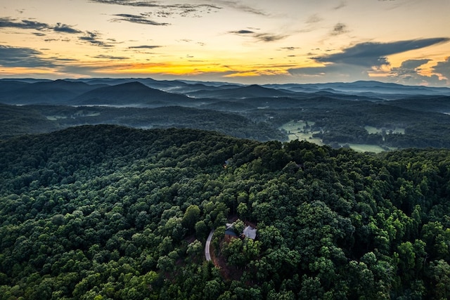 view of mountain feature featuring a view of trees