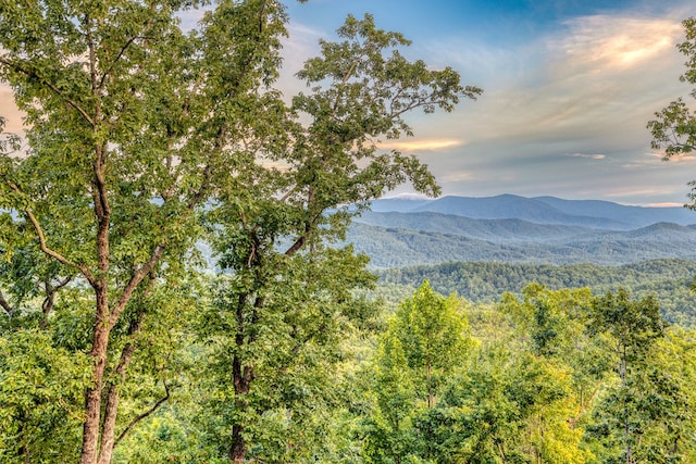 view of mountain feature with a wooded view