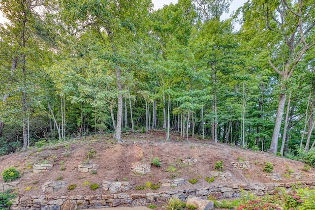 view of local wilderness with a wooded view