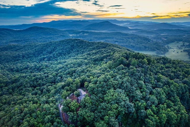 mountain view featuring a forest view