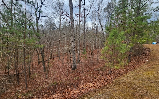 LOT9 Harris Creek Dr, Ellijay GA, 30540 land for sale