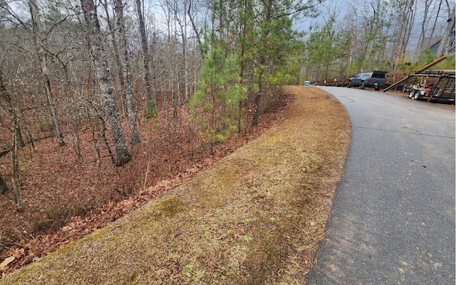 Listing photo 2 for LOT9 Harris Creek Dr, Ellijay GA 30540