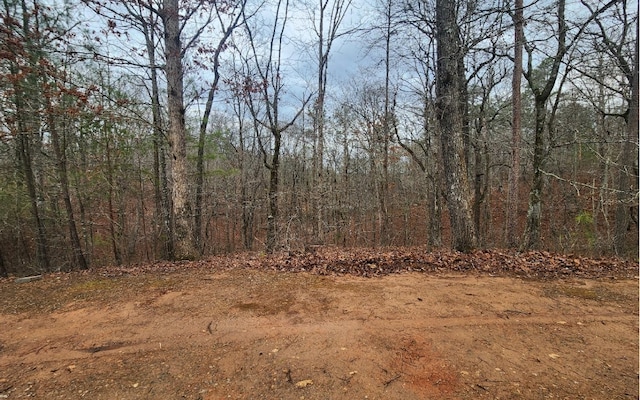 Listing photo 3 for LOT9 Harris Creek Dr, Ellijay GA 30540