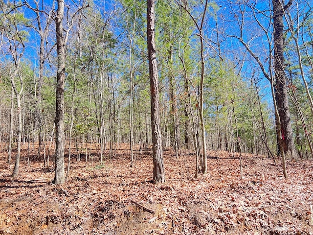 Listing photo 2 for OldMill Old Mill Road, Mineral Bluff GA 30559