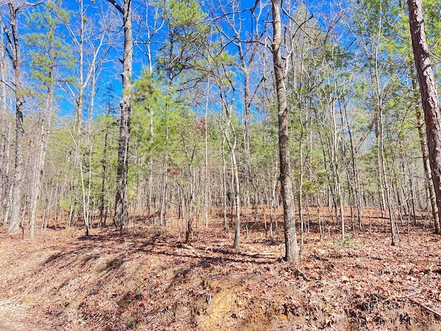 Listing photo 3 for OldMill Old Mill Road, Mineral Bluff GA 30559