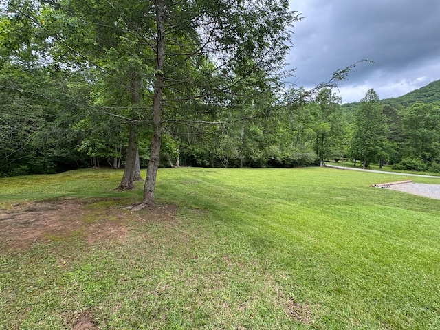 398 Outlook Rd, Murphy, NC 28906 - view of grassy yard featuring a view of trees