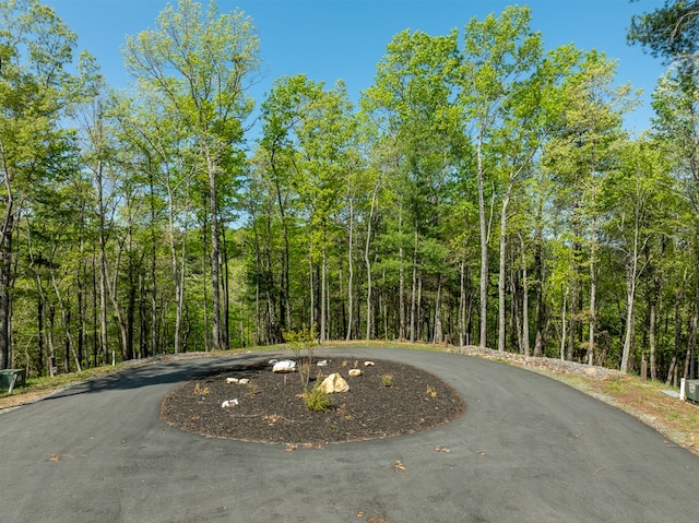 LOT7 Briar Creek Ct, Morganton, GA 30560