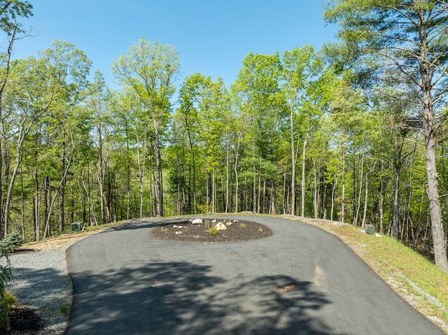 LOT7 Briar Creek Ct, Morganton, GA 30560