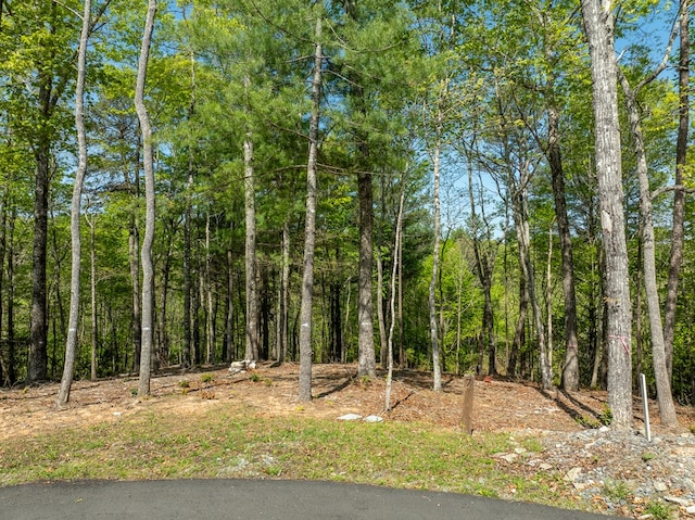 LOT7 Briar Creek Ct, Morganton, GA 30560