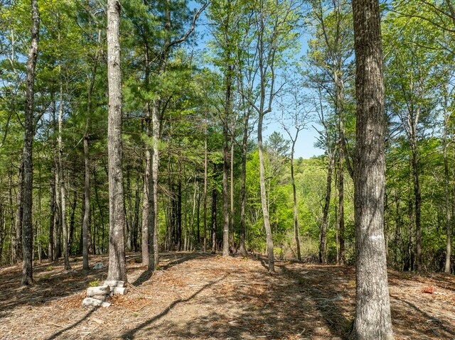 LOT7 Briar Creek Ct, Morganton, GA 30560