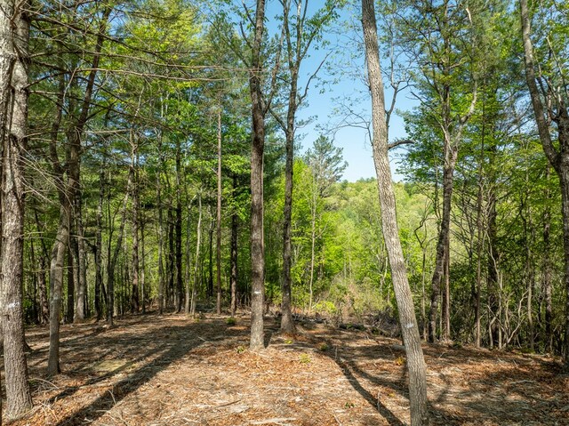 LOT7 Briar Creek Ct, Morganton, GA 30560