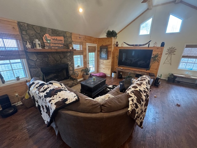 living room featuring wood walls, wood-type flooring, and a fireplace