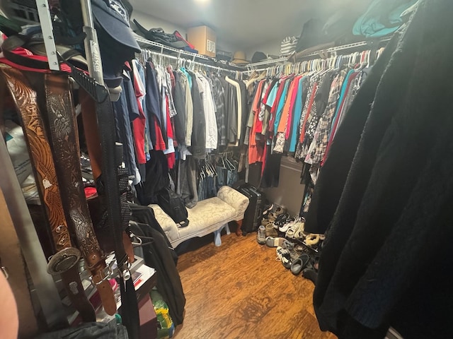 walk in closet featuring wood finished floors