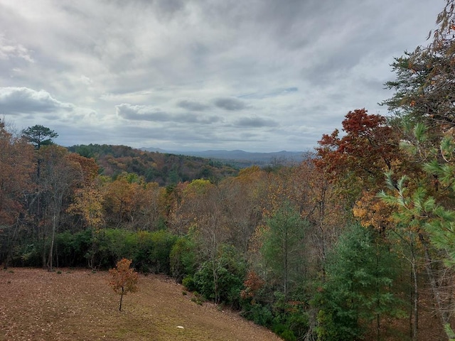 view of mountain feature with a forest view