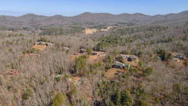 bird's eye view with a mountain view