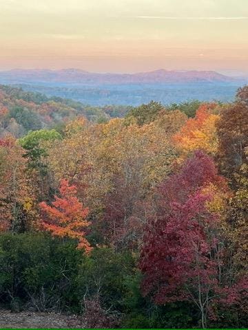 property view of mountains featuring a wooded view