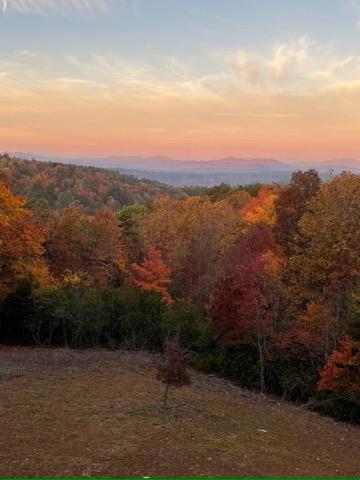 view of landscape featuring a wooded view