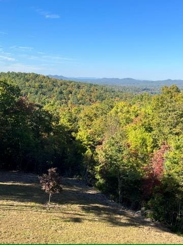 view of landscape with a mountain view and a forest view