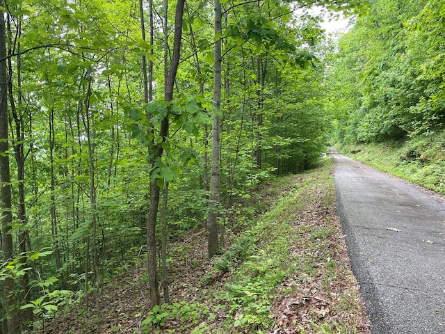 00 Ten Pointe Trl, Murphy NC, 28906 land for sale