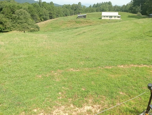 view of yard with a rural view