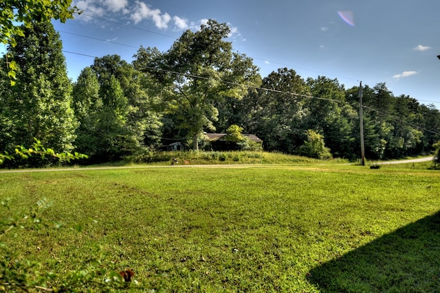569 Number 20 Mine Rd, Mccaysville, GA 30555 - view of green lawn