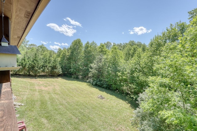 602 Mill Ridge Rd, Hiawassee, GA 30546 - view of grassy yard