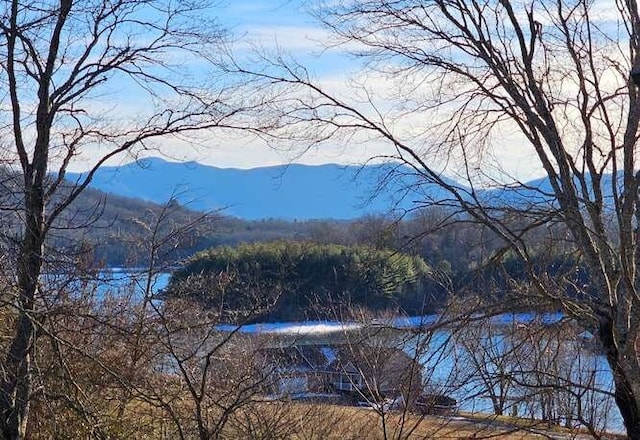 view of water feature with a mountain view