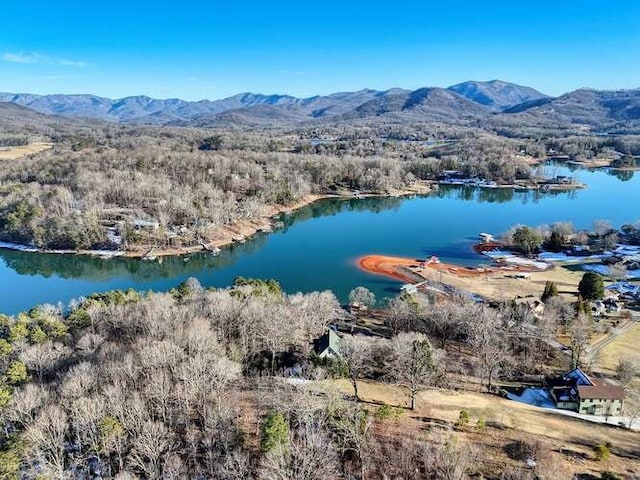 drone / aerial view with a water and mountain view