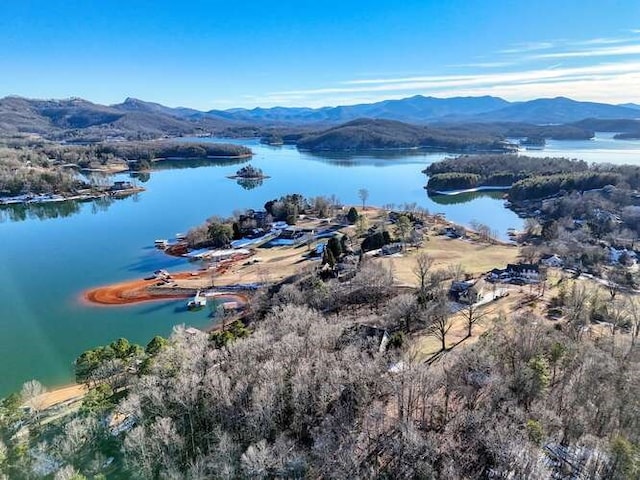 bird's eye view with a water and mountain view