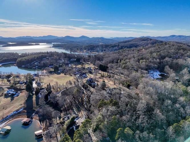 drone / aerial view featuring a water and mountain view