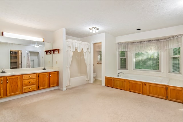 bathroom with vanity, toilet, a wealth of natural light, and a bathing tub