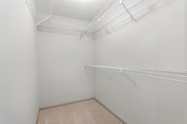 spacious closet with light carpet