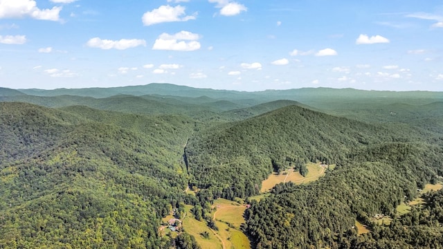 property view of mountains