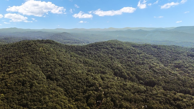 view of mountain feature