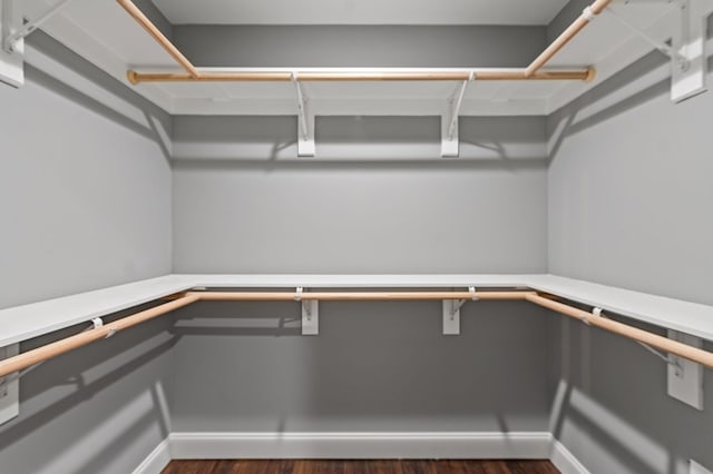 spacious closet featuring dark wood-type flooring