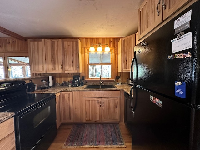 kitchen featuring light wood-style floors, a healthy amount of sunlight, a sink, and black appliances