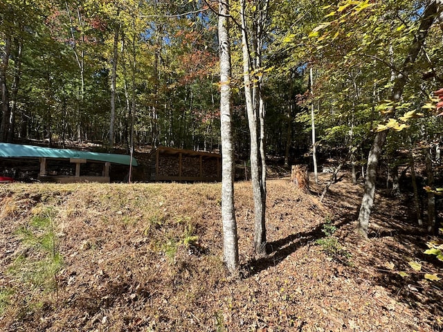 view of yard with a wooded view