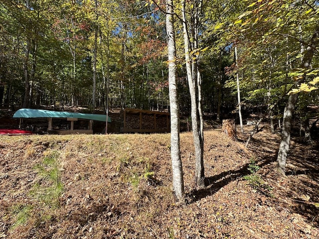 view of yard with a forest view