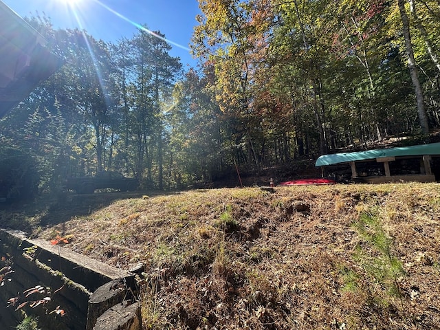 view of yard featuring a forest view