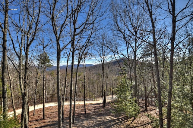 exterior space featuring a mountain view